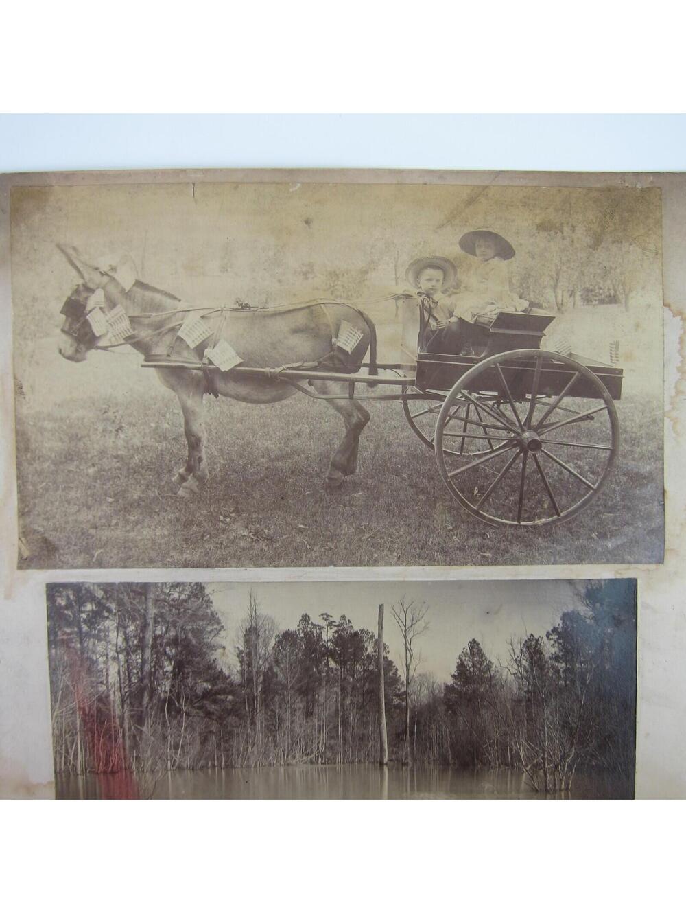 Antique Photographs 1880s Children Boy & Girl at Creek Ride Donkey Cart Lot of 4 - Picture 7 of 12